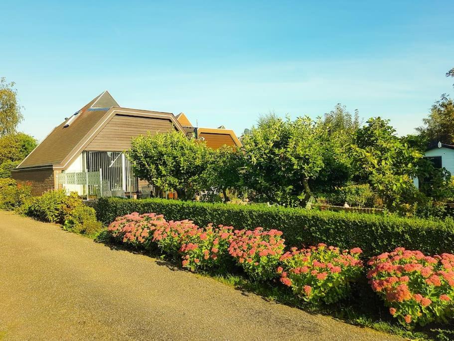 Апартаменти Lovely House Till 6 P. Near Amsterdam, Sea Opmeer Екстер'єр фото